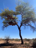 Windhoek Namibia 06