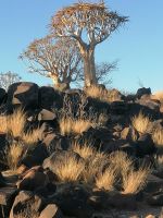 Windhoek Namibia 09