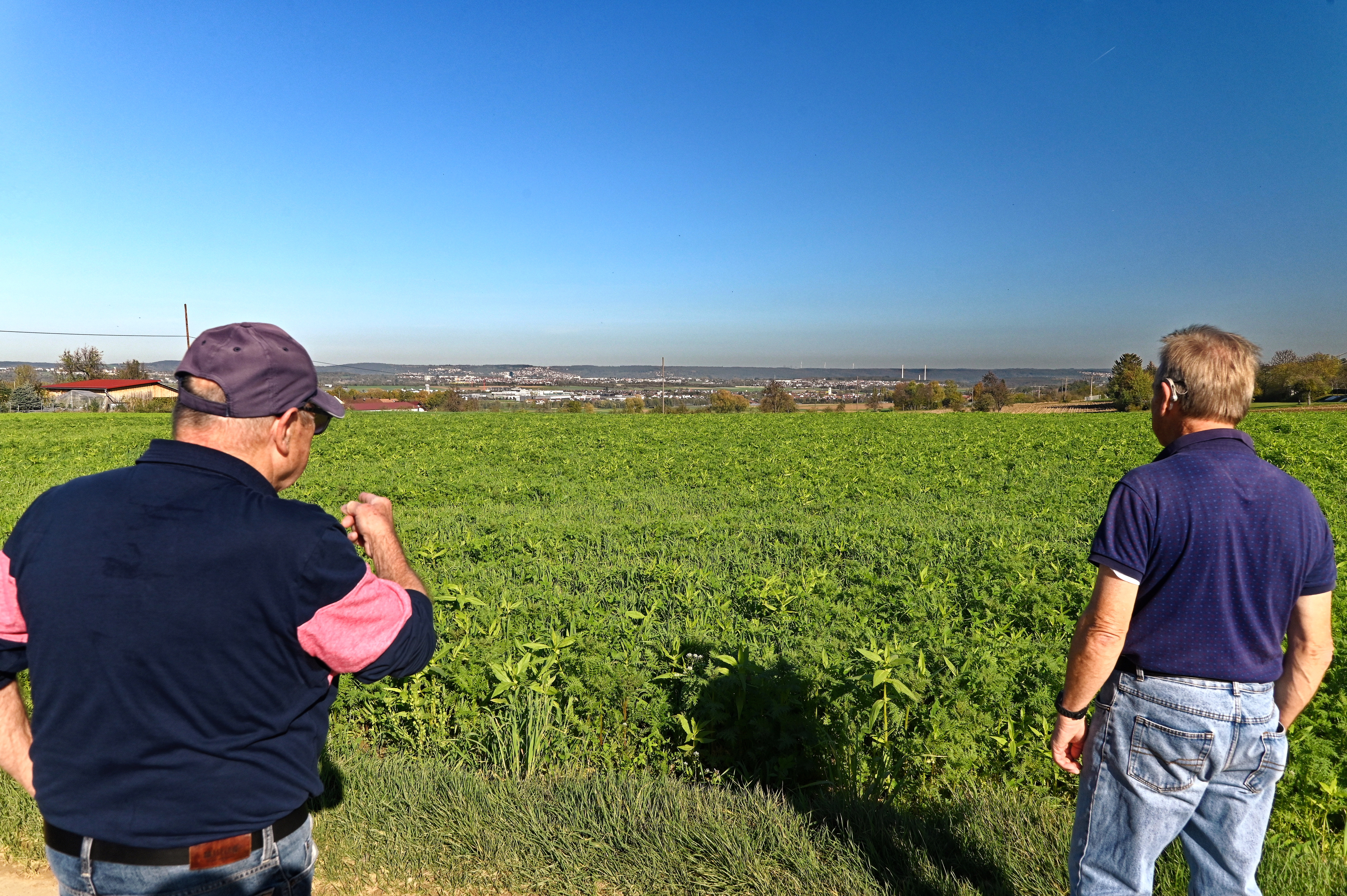 New_Move_-_Wandern_-_20221027_-_03.jpg