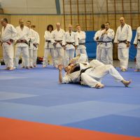 20240630 Judo Ne Waza Lehrgang 00006