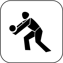 Volleyball
